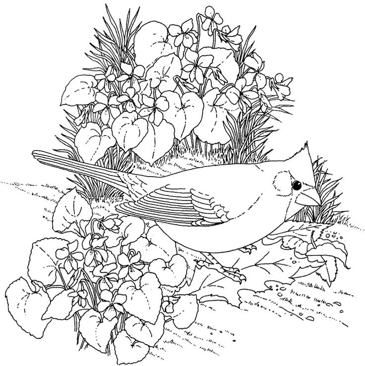 1000 Coloring Pages At GetColorings Free Printable Colorings 