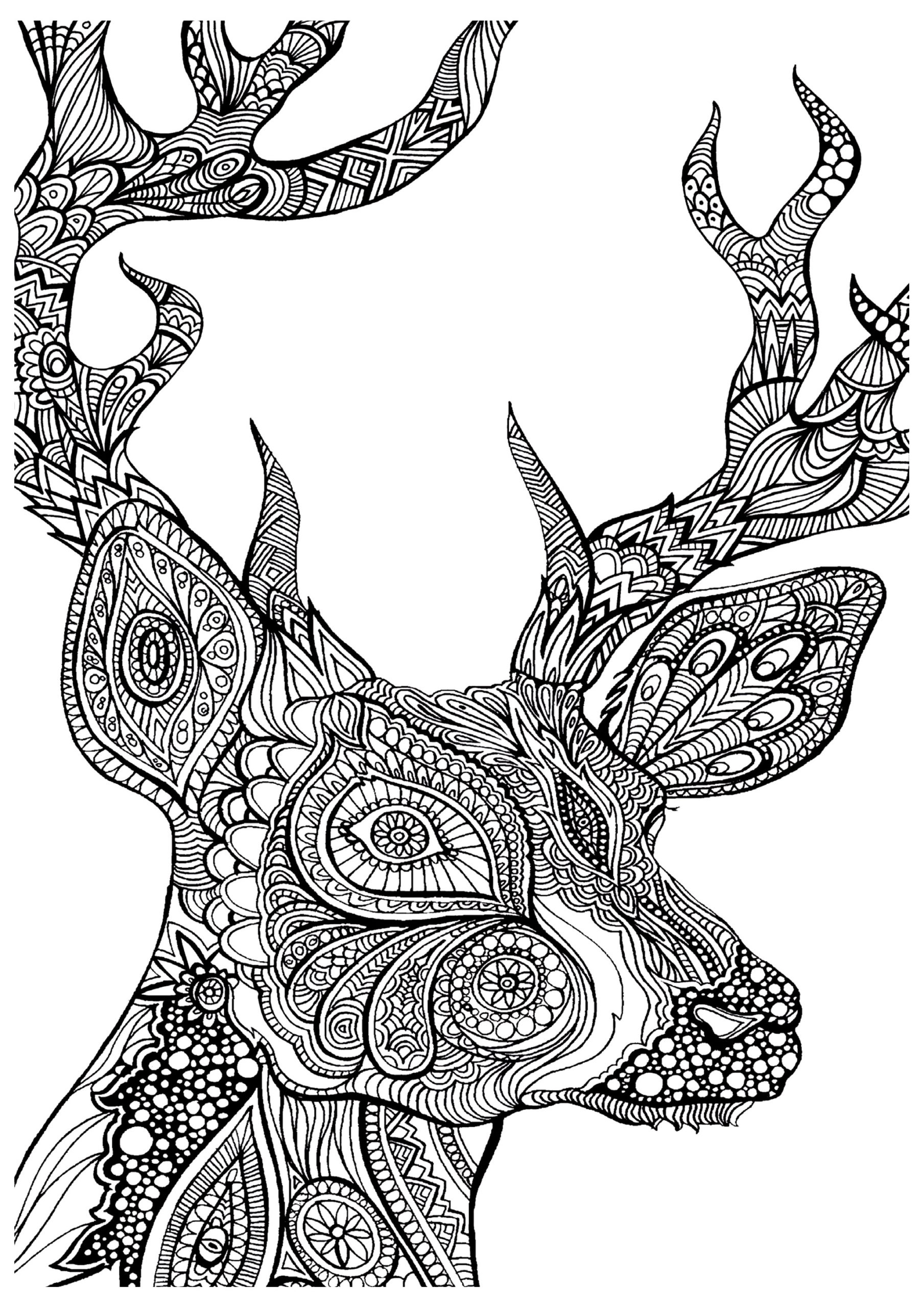 19 Of The Best Adult Colouring Pages Free Printables For Everyone 