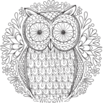 20 Free Adult Colouring Pages The Organised Housewife