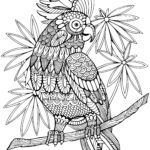 60 Animal Coloring Pages For Adults With Resell Right For 15 SEOClerks