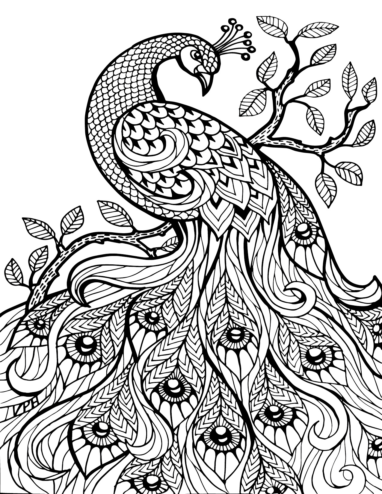 Free Download Adult Coloring Pages