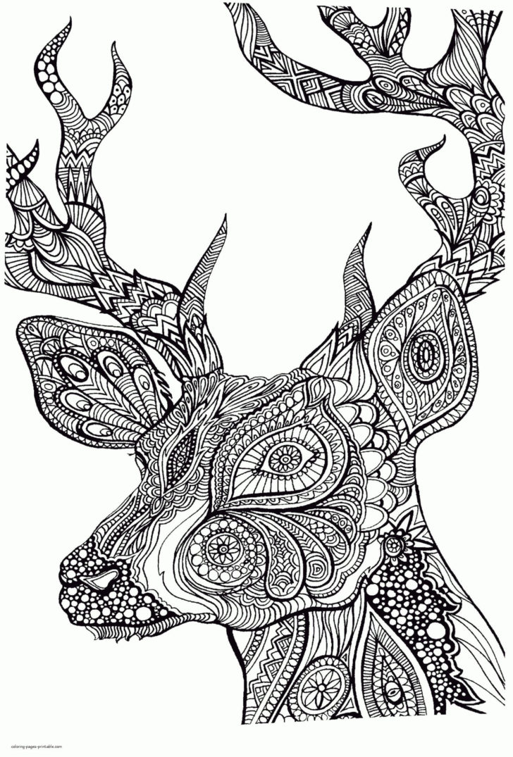 Adult Coloring Pages Printable Animals