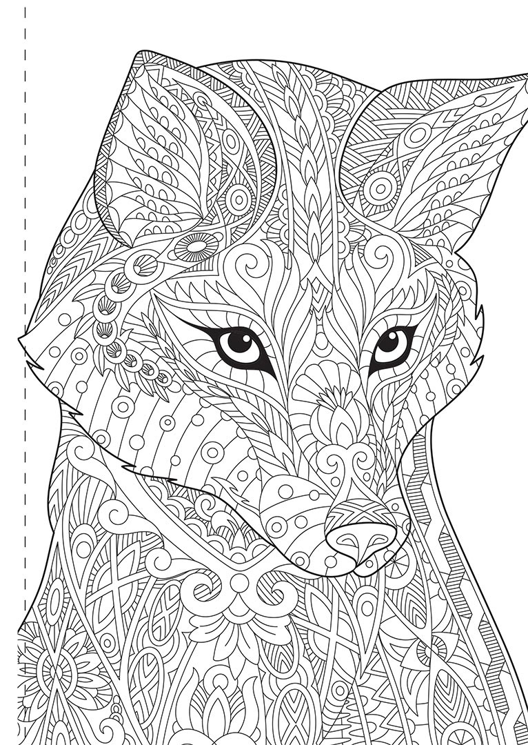 Kaleidoscope Colouring Animals And More Books Adult Colouring 