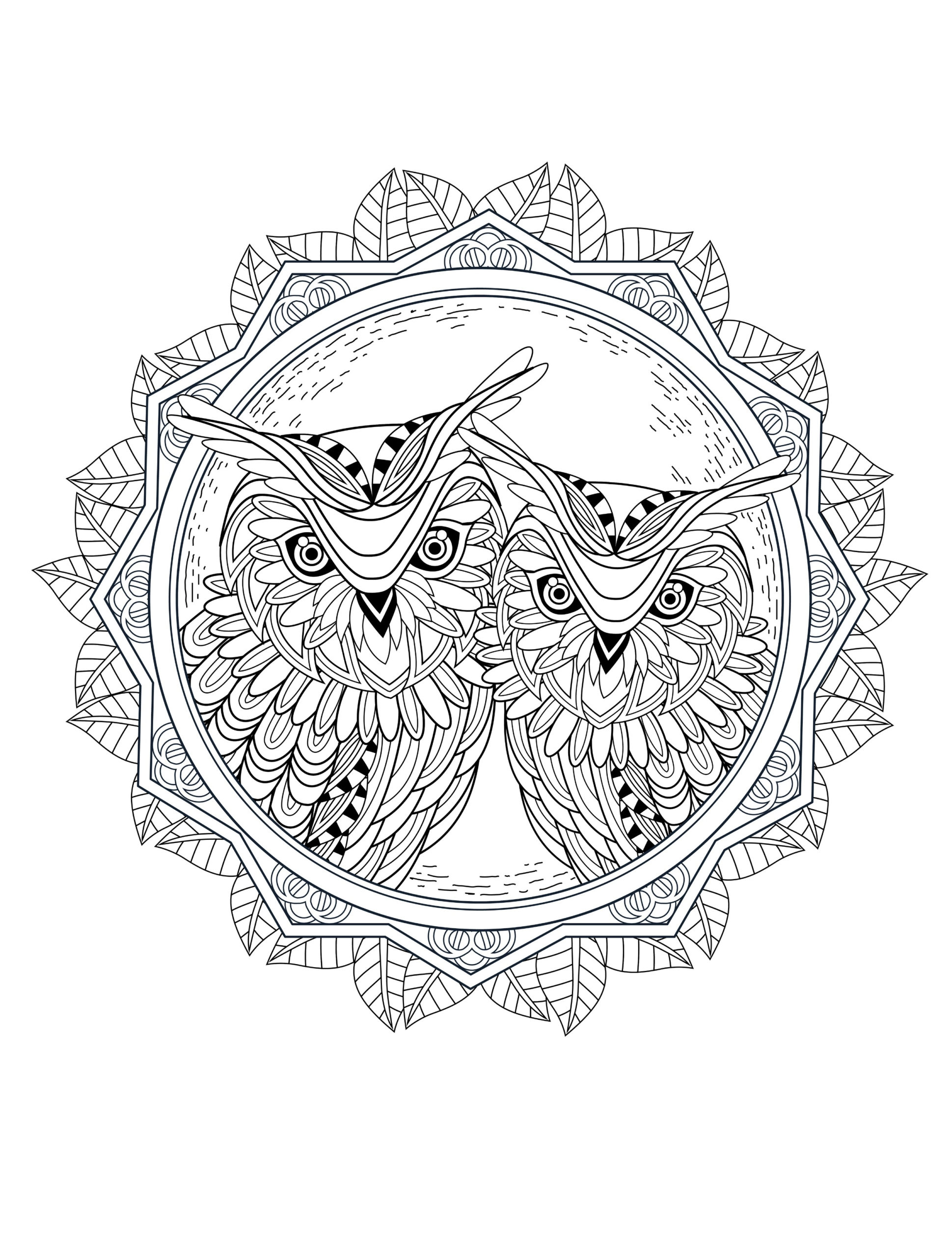 OWL Coloring Pages For Adults Free Detailed Owl Coloring Pages