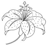 Beautiful Easter Lily   Coloring Pages For Kids Throughout Printable Easter Lily Coloring Page