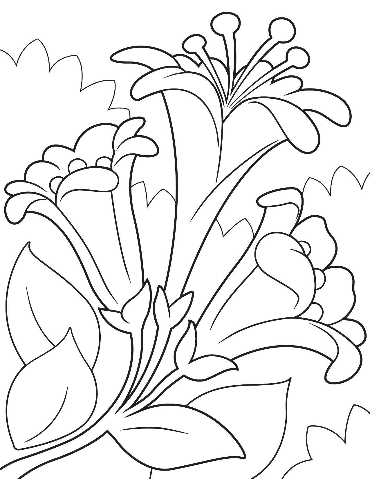 Crayola Canada with Free Printable Easter Coloring Pages Crayola