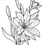 Easter Lily   Coloring Pages For Kids With Free Printable Easter Lilies Coloring Pages