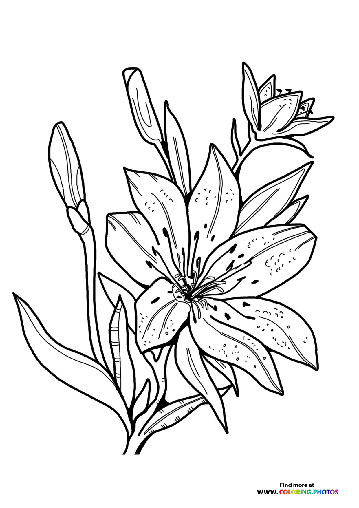 Easter Lily - Coloring Pages For Kids with Free Printable Easter Lilies Coloring Pages